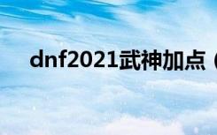dnf2021武神加点（dnf武神刷图加点）