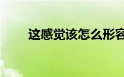 这感觉该怎么形容（这感觉怎么样）
