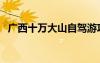 广西十万大山自驾游攻略（广西十万大山）