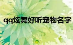 qq炫舞好听宠物名字（炫舞宠物pk名字5s）
