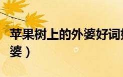 苹果树上的外婆好词好句摘抄（苹果树上的外婆）