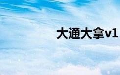 大通大拿v1（大拿辅助）