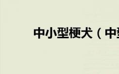 中小型梗犬（中型梗犬种类大全）