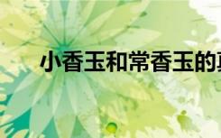 小香玉和常香玉的真实关系（小香玉）