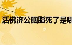 活佛济公胭脂死了是哪一集（活佛济公胭脂）