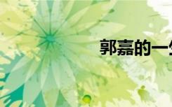 郭嘉的一生（郭嘉）
