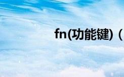 fn(功能键)（fn功能键在）