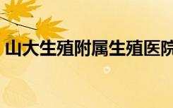 山大生殖附属生殖医院（山大生殖医院官网）