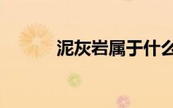 泥灰岩属于什么岩类（泥灰岩）