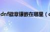 dnf徽章镶嵌在哪里（dnf徽章镶嵌栏怎么开）