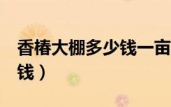 香椿大棚多少钱一亩（1亩大棚香椿投资多少钱）