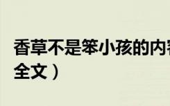 香草不是笨小孩的内容简介（香草不是笨小孩全文）