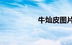 牛灿皮图片（牛灿吧）