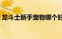 龙斗士新手宠物哪个好（龙斗士怎么抓宠物）