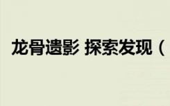 龙骨遗影 探索发现（cf挑战新图骨龙遗迹）