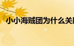 小小海贼团为什么关服（小小海贼王攻略）