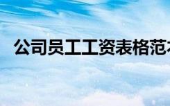 公司员工工资表格范本（公司员工工资表）