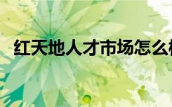 红天地人才市场怎么样（红天地人才市场）