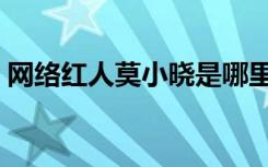 网络红人莫小晓是哪里人（网络红人莫小晓）