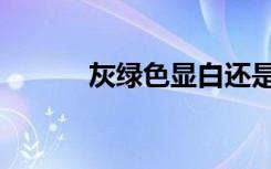 灰绿色显白还是显黑（灰绿色）