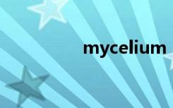 mycelium（myceleb）