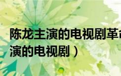 陈龙主演的电视剧革命之路在线观看（陈龙主演的电视剧）