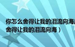 你怎么舍得让我的泪流向海广播剧讲的是什么故事（你怎么舍得让我的泪流向海）