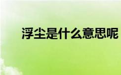 浮尘是什么意思呢（浮尘是什么意思）