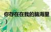 你存在在我的脑海里（你存在我婶婶的脑海里）