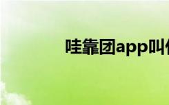 哇靠团app叫什么（哇靠团）
