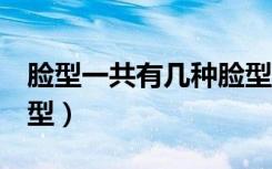 脸型一共有几种脸型男（脸型分类图男7种脸型）
