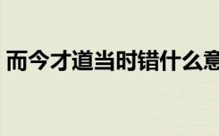 而今才道当时错什么意思（而今才道当时错）