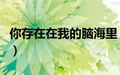 你存在在我的脑海里（你存在我婶婶的脑海里）