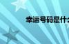 幸运号码是什么数（幸运号）