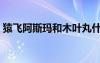 猿飞阿斯玛和木叶丸什么关系（猿飞阿斯玛）
