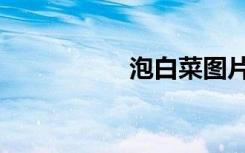 泡白菜图片（泡白菜）