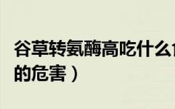 谷草转氨酶高吃什么食物最好（谷草转氨酶高的危害）