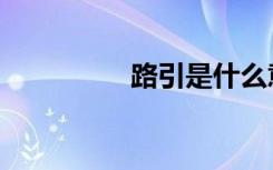 路引是什么意思（路引）