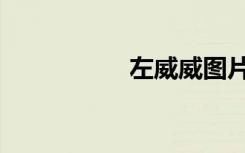 左威威图片（左威威）