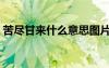 苦尽甘来什么意思图片（苦尽甘来什么意思）