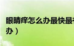 眼睛痒怎么办最快最有效的方法（眼睛痒怎么办）