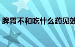 脾胃不和吃什么药见效快（脾胃不和吃什么）