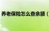 养老保险怎么查余额（养老余额是什么意思）