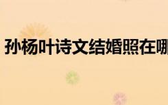 孙杨叶诗文结婚照在哪里看（孙杨和叶诗文）