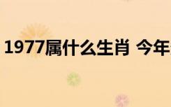 1977属什么生肖 今年多大了（1977属什么）