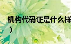 机构代码证是什么样的?（机构代码证是什么）