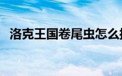洛克王国卷尾虫怎么抓（洛克王国卷尾虫）