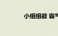 小组组徽 霸气（小组组徽）