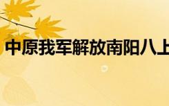 中原我军解放南阳八上（中原我军解放南阳）