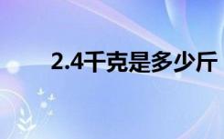 2.4千克是多少斤（2千克是多少斤）